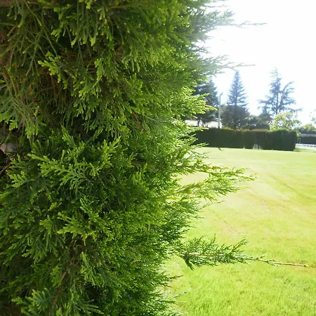 Ostello Molino Solacuesta Lerma