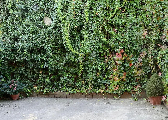 Molino Solacuesta Vandrerhjem *