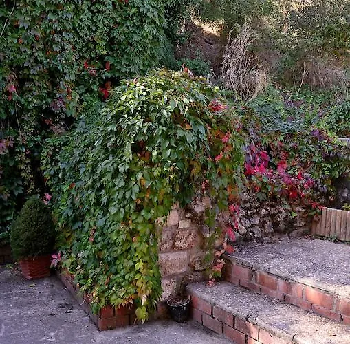 Vandrerhjem Molino Solacuesta