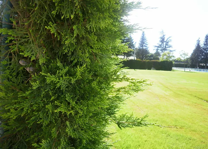 Vandrerhjem Molino Solacuesta Lerma